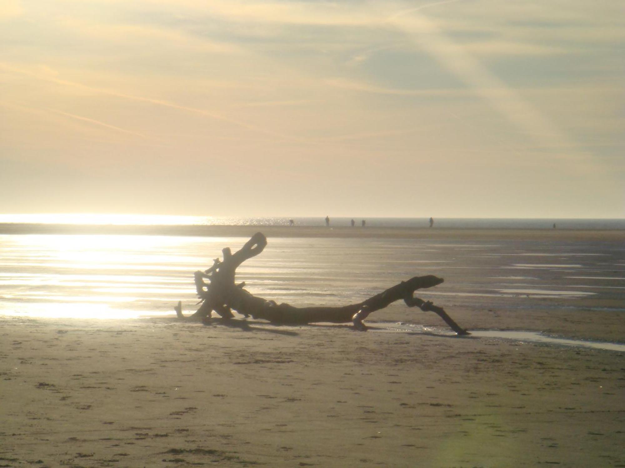 Hotel Twilling Sankt Peter-Ording Extérieur photo